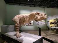 科學館古生物恐龍展