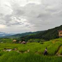 Breathtaking sight Rice Terrece 