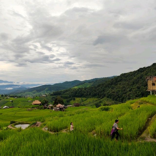 Breathtaking sight Rice Terrece 