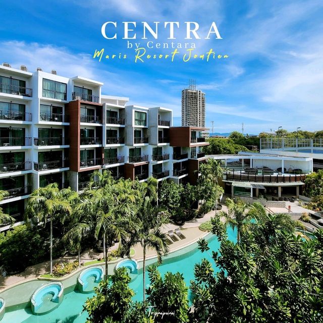 โรงแรม 4 ดาวพัทยา ราคาเบา พาน้องหมาน้องแมวมาได้!