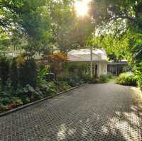 Yellow lane cafe’