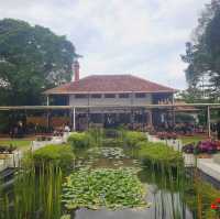 Afternoon Hi-Tea at David Brown's Mansion