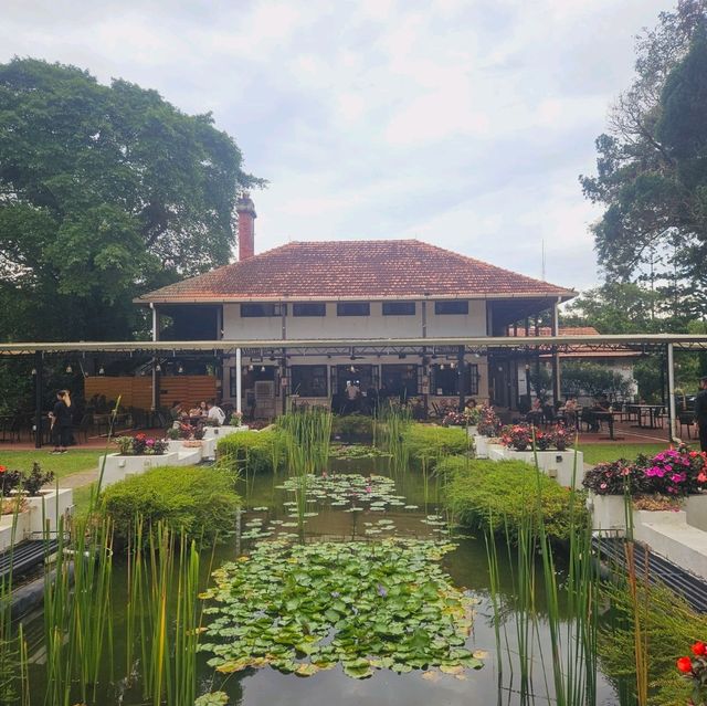 Afternoon Hi-Tea at David Brown's Mansion