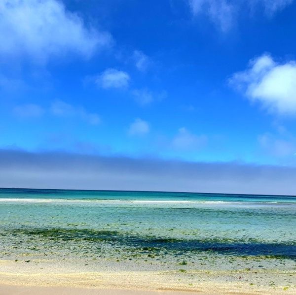 제주도 예쁜 바다, “월정리 해수욕장”🌊 제주도 예쁜 바다, “월정리 해수욕장”🌊
