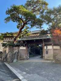 一泊2食付き！部屋に温泉付きなのに土日で1人25000円から！？コスパ最強熱海の老舗旅館！