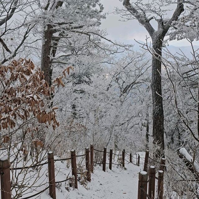 곤도라타고 5분이면 볼 수 있는 무주 덕유산 상고대