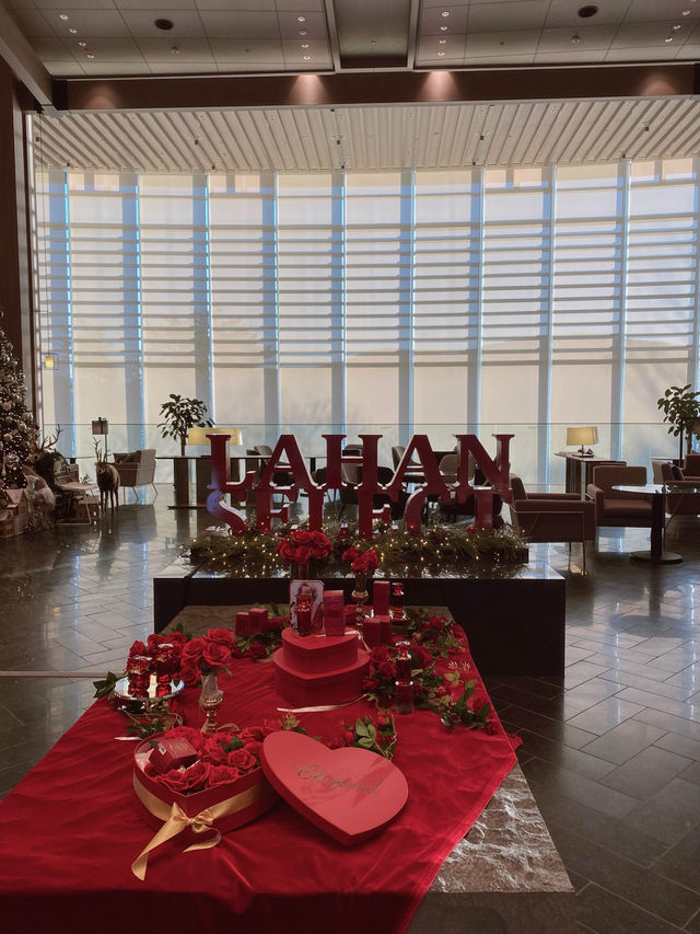 경주 보문호수 배경으로 남기는 크리스마스🎄