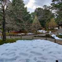 【石川県金沢市】日本庭園🌳日本の文化に触れる