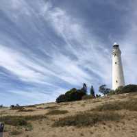 西澳 羅特尼斯島 Rottnest Island