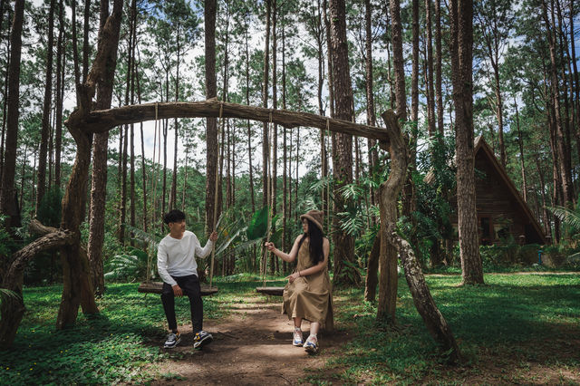 สวนป่าดอยบ่อหลวง | จ.เชียงใหม่