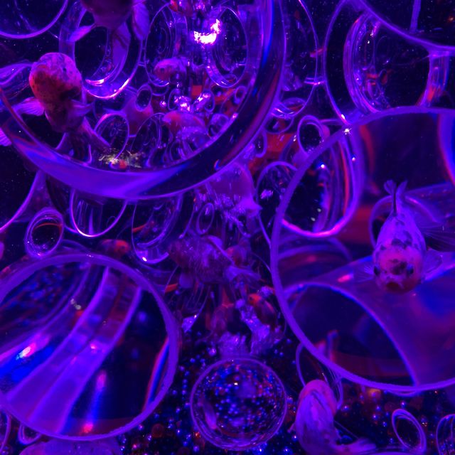 【銀座】アートアクアリウム