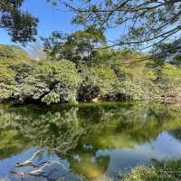 賞花季必到之中文大學‼️超令湖景