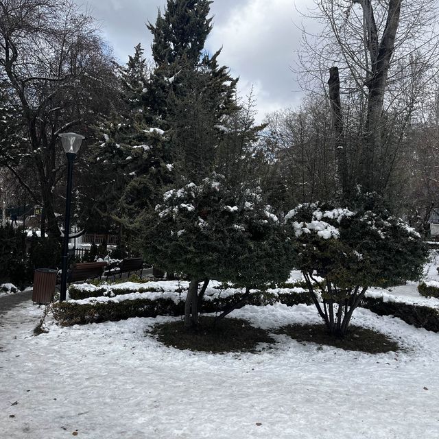 アンカラ中心部のKuğul 公園も雪景色