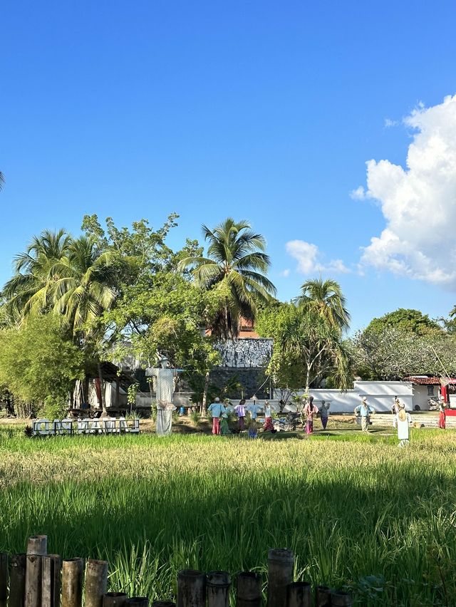 Authentic Malay cuisine by the paddy field