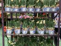 The Biggest Chinese New Year Flower Market In Hong Kong