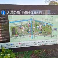 東京木場公園河津櫻