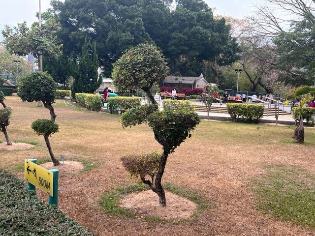 輕鬆緩步跑 @ 九龍仔公園