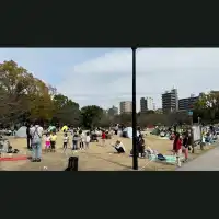 淺草賞櫻賞晴空塔😍