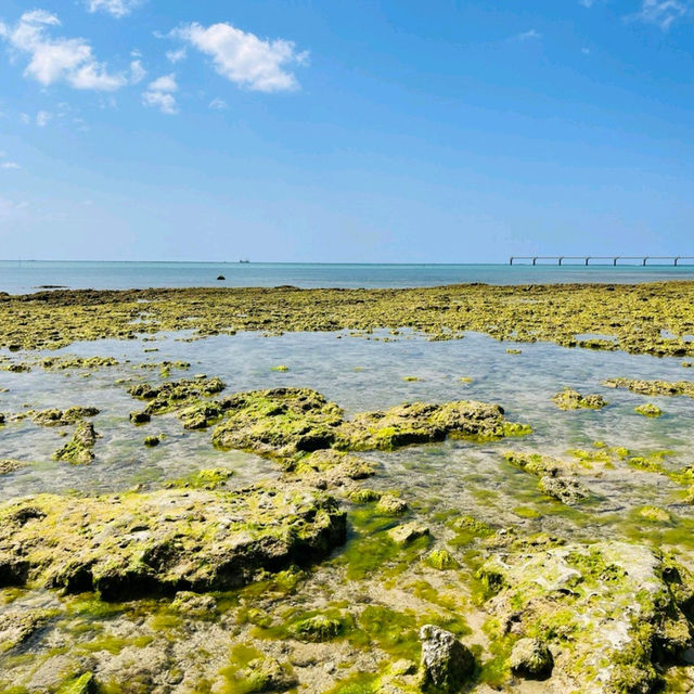 Paradise Next Door at Senaga Island Okinawa