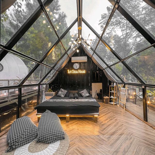 Turi Glass House
