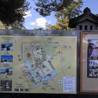 毗鄰東京的中世紀城堡🏯小田原城