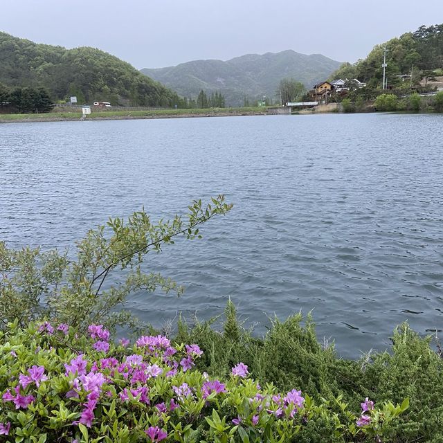 대전 근교, 금산 부모님과 꽃구경 하늘물빛정원