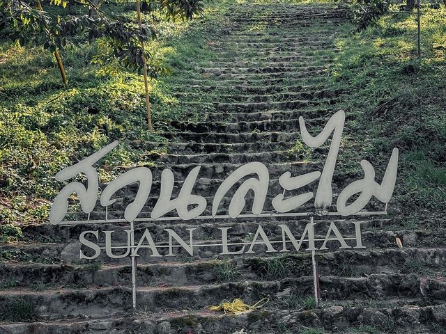 เที่ยวระยอง ชมสวน กันที่ สวนละไม บุฟเฟต์ผลไม้ 