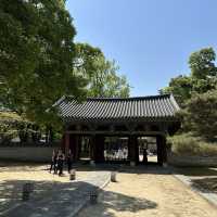 해외여행 부럽지 않은 전주 투어 (with 영화제)