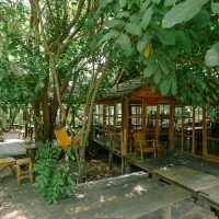 จิบกาแฟ นอนเปลในสวนป่า Skipper Garden สาขา 1