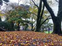 ปราสาทโอคะซะกิ (Okazaki Castle)🏯