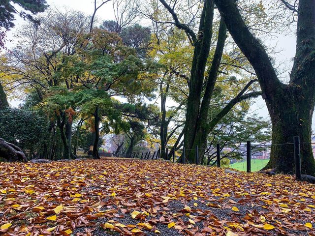 ปราสาทโอคะซะกิ (Okazaki Castle)🏯