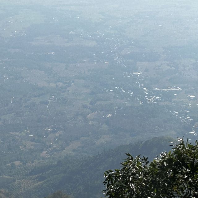 แสงนำทาง วัดป่าภูทับเบิก