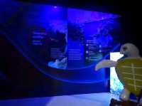 Bangsaen Aquarium 