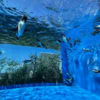 都内にある水族館！