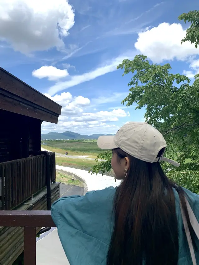 🥹🌸太漂亮了吧! 在JR嵯峨嵐山站隨意拍都是美照!🌿