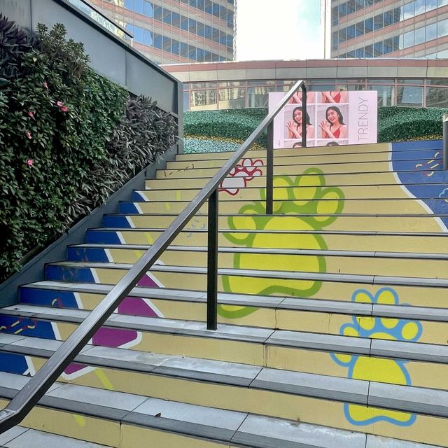 盛夏Pets Park 遊樂園