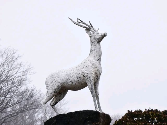 한라산 1100고지 휴게소 | 트립닷컴 제주 간접적으로라도 한라산을 오른 기분을 느낄 수 있다. 한라산 1100고지 휴게소 | 트립닷컴 제주 