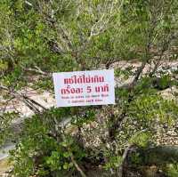 น้ำพุร้อนเค็มคลองท่อม