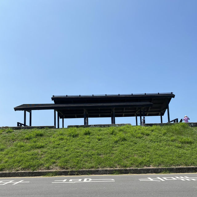 高美濕地☀️