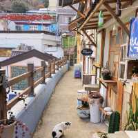 彩色童話！釜山的甘川文化村🏞️🎨🌈