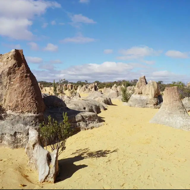 Moon-like experience @ Pinnacles Desert WA