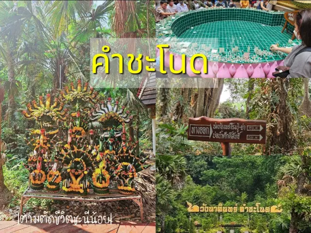 ป่าคำชะโนด หรือวังนาคินทร์