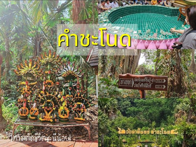 ป่าคำชะโนด หรือวังนาคินทร์