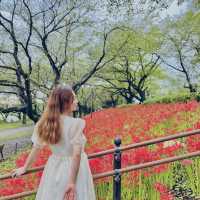 耀現堂公園 埼玉県