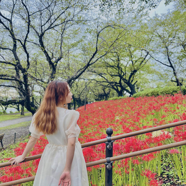 耀現堂公園 埼玉県