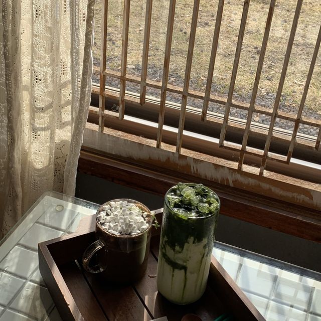 제주 서쪽카페추천 “코코메아”☕️