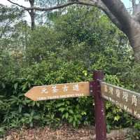 🏞️👣 元荃古道～征服山徑🏞️👣🌳