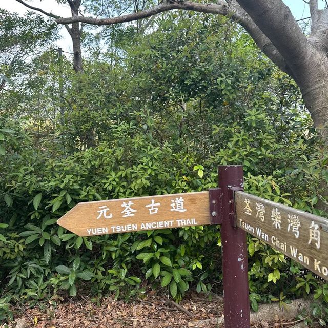 🏞️👣 元荃古道～征服山徑🏞️👣🌳