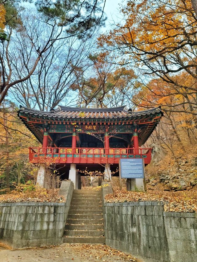 초겨울에도 분위기있는 아름다운 홍룡폭포✨️
