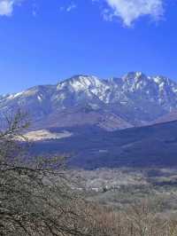 【長野絶景スポット】野辺山高原　平沢峠